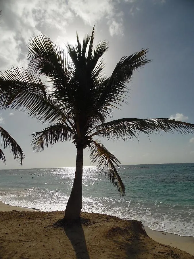 Kaz Ananas, Spa Privatif ,Plage Du Helleux サンタンヌ 0*,